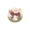 1. שומן בקר איכותי (Grass Fed Tallow)